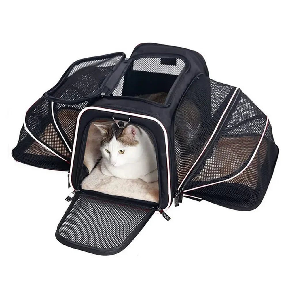 Sac à bandoulière extensible pour chat et chien avec porte-mesh et intérieur doux