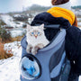 Chat aux yeux bleus dans un sac à dos gris FelinPorter pour chat de grand volume