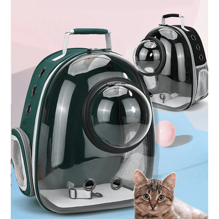 Sac à dos pour chat avec hublot transparent et fenêtre bulle pour transport facile