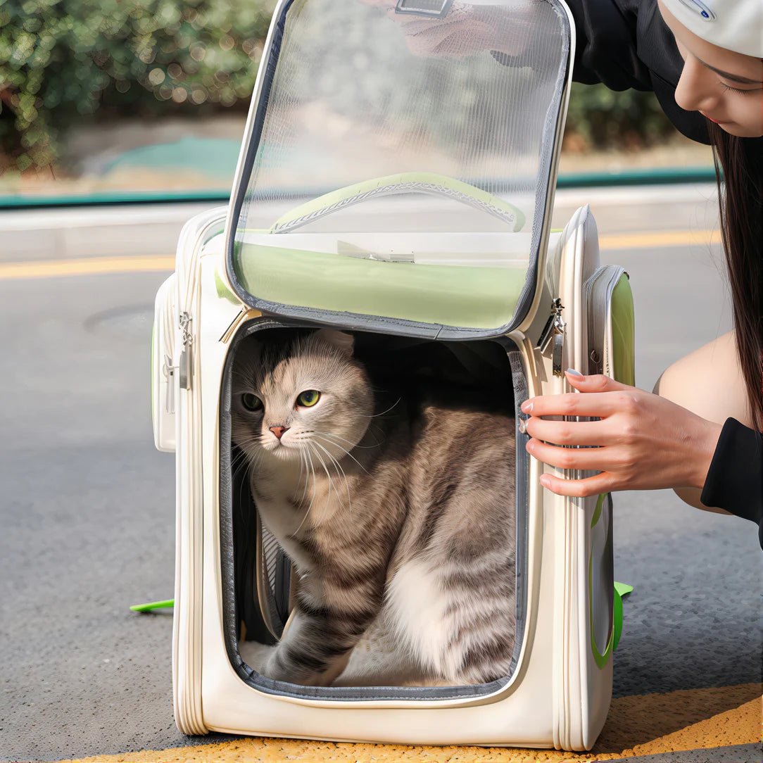 Sac à dos pour chat portable ventilé beige et vert avec chat tigré à l’intérieur