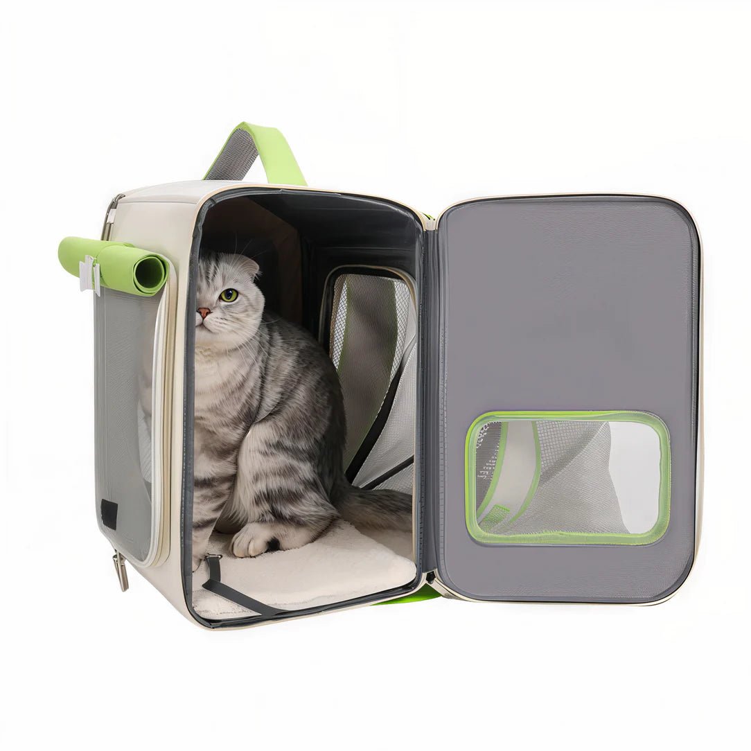 Chat gris tacheté dans un sac à dos pour chat portable ventilé MrKing