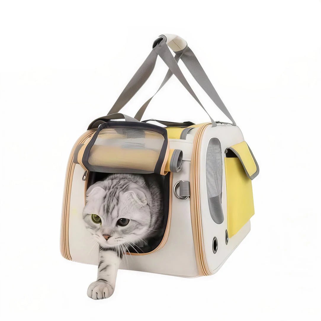 Sac de transport à main pour chat Felinity avec un chat gris sortant