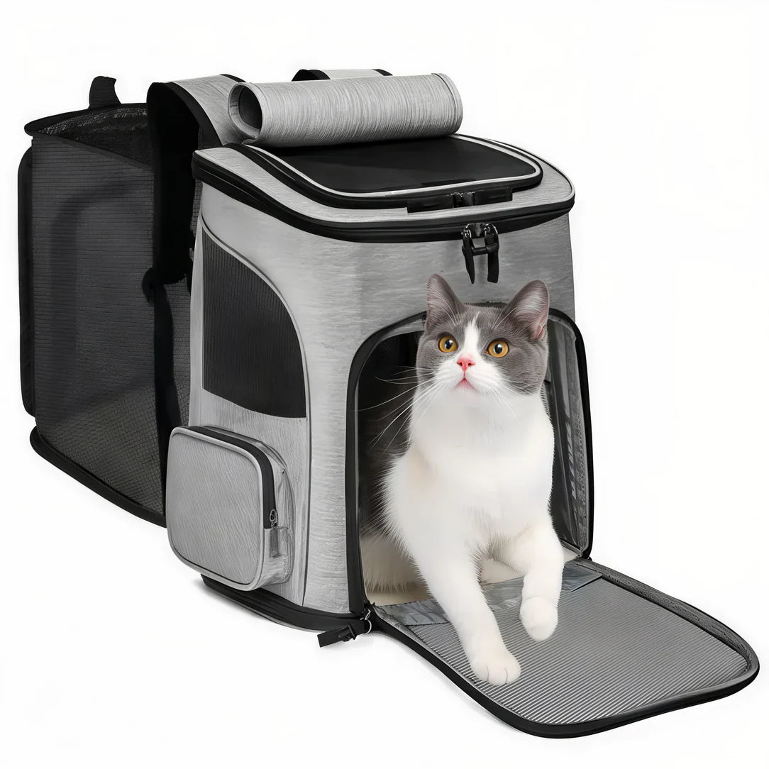 Sac de transport extensible pour chat avec sac à dos gris et noir et chat à l’intérieur